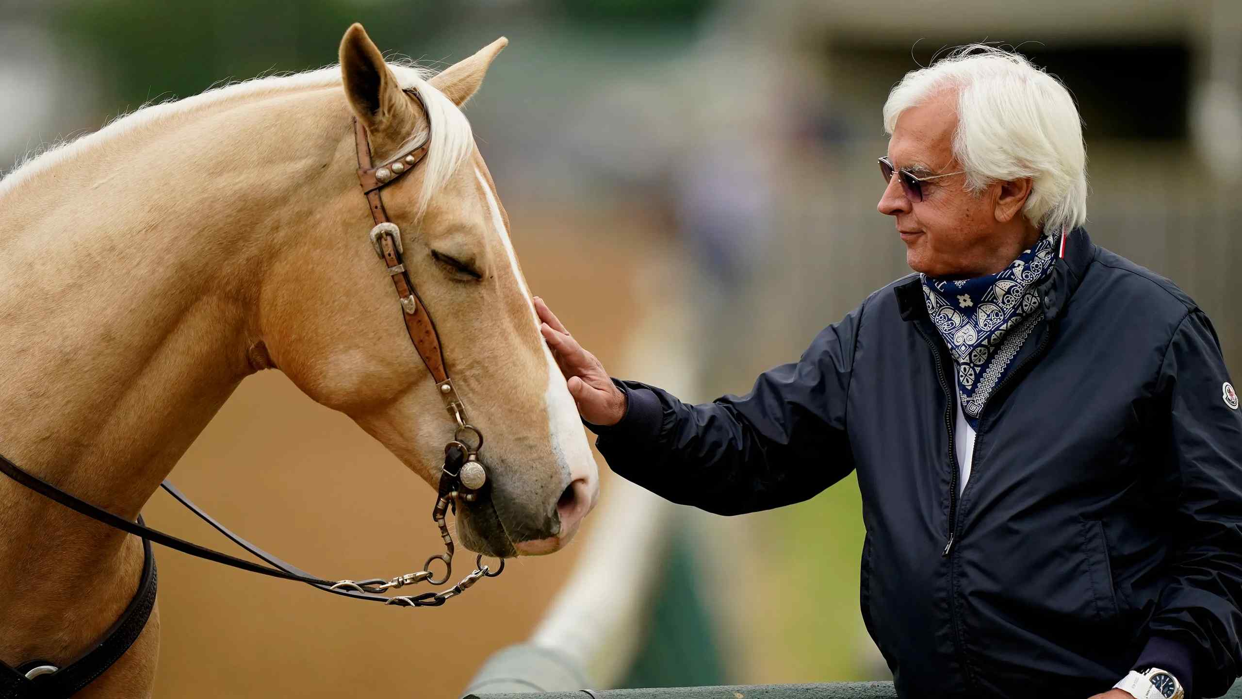 A man petting a horse